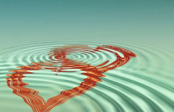 BetCoco Cazinou Suport